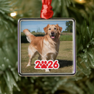 Aangepaste 2026 Pet Foto Metalen Ornament