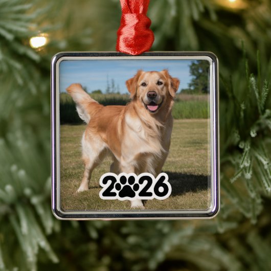 Aangepaste 2026 Pet Foto Metalen Ornament (Boom)