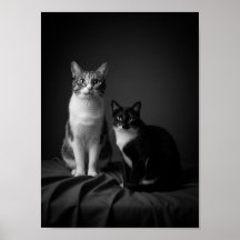 Aangepaste 4K zwart-wit huisdier portretposter 