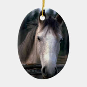 Aangepaste 4PetRescue Keramisch Ornament