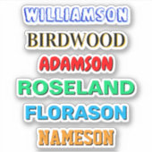 Aangepaste achternaam Stickers (Waterdichte Vinyl (Voorkant)