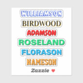 Aangepaste achternaam Stickers (Waterdichte Vinyl (Vel)