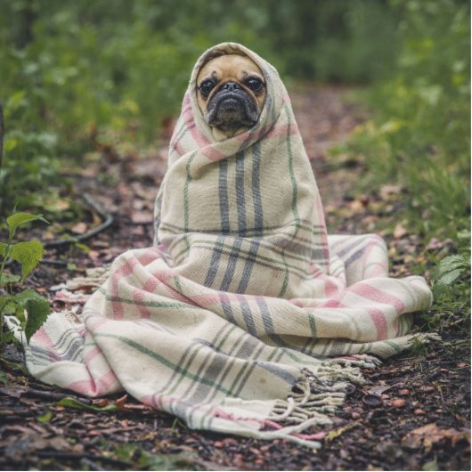 Aangepaste acrylsculptuur in keepomwille - aangepa staand fotobeeldje (Voorkant)