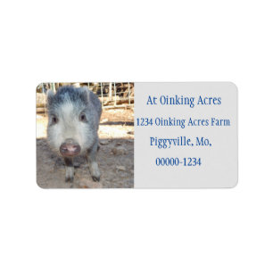 Aangepaste Adresetiketten van Cute Gray Mini Pig Etiket
