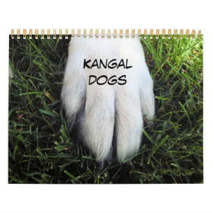 Aangepaste afgedrukte agenda kalender