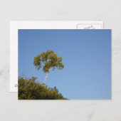 Aangepaste afstand uit de Briefkaarten voor de sni (Voorkant / Achterkant)