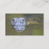 Aangepaste Alligator Swamp Animal Wildlife Natuur Visitekaartje (Achterkant)