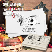 Aangepaste Apple Anatomy Rubber Stamp Rubberstempel