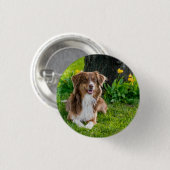 Aangepaste Australische herder hond huisdier foto Ronde Button 3,2 Cm (Voorkant /achterkant)