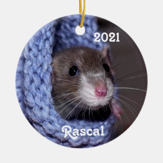 Aangepaste Baby Pet Rat Keramisch Ornament (Voorkant)