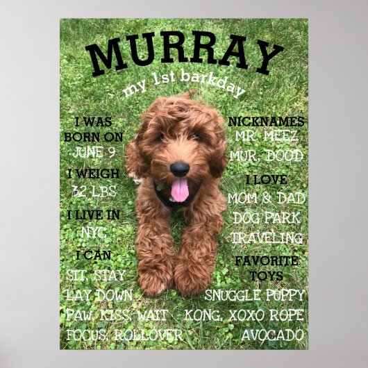Aangepaste BARKday Dog Birthday Party Milestone Poster (Voorkant)