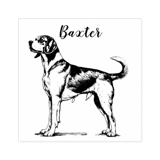 Aangepaste beagle 	rubberstempel (Afrduk)