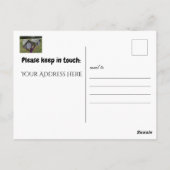 Aangepaste bijtende wijziging van adresverplaatst  briefkaart (Achterkant)