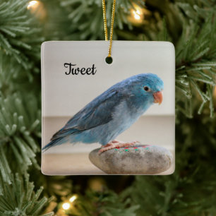 Aangepaste Blauwe Parrotlet Bird Keramisch Ornament