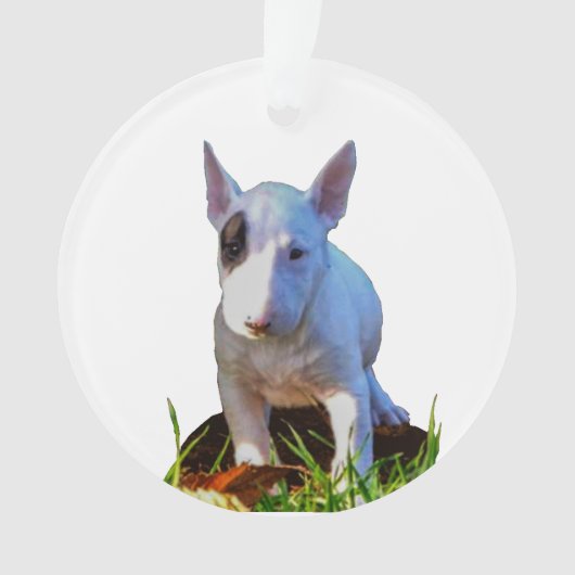 Aangepaste boomstructuur - Design Bull Terrier Ornament (voorkant)