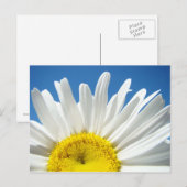 Aangepaste briefkaarten voor Daisy Flower Voeg je (Voorkant / Achterkant)