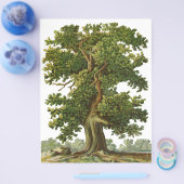 Aangepaste brochure voor  eikenstructuur (Enkel)