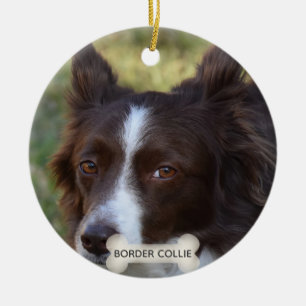 Aangepaste bruine Border Collie-hondsfoto Keramisch Ornament