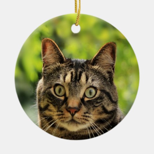 Aangepaste bruine Tabby Cat foto Keramisch Ornament (Voorkant)