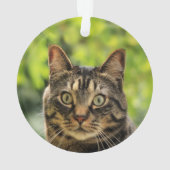 Aangepaste bruine Tabby Cat foto Ornament (achterkant)