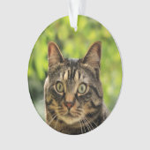 Aangepaste bruine Tabby Cat foto Ornament (voorkant)
