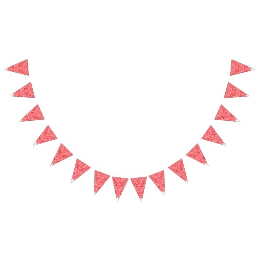 Aangepaste Bunting Flags | Verjaardag, foto & fees Vlaggetjes (Alle)