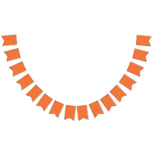 Aangepaste Bunting Flags   Verjaardag & foto Vlaggetjes