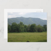 Aangepaste Cades Cove Briefkaarten (Voorkant / Achterkant)