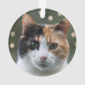 Aangepaste Calico Cat foto gepersonaliseerd Ornament (achterkant)