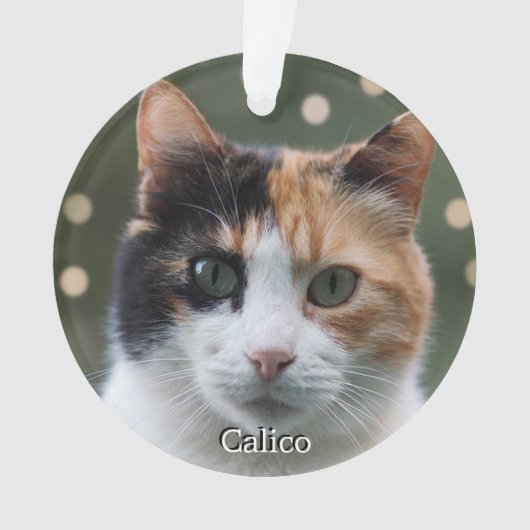 Aangepaste Calico Cat foto gepersonaliseerd Ornament (voorkant)