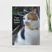 Aangepaste Calico schattige kat Birthday Kaart (Voorkant)