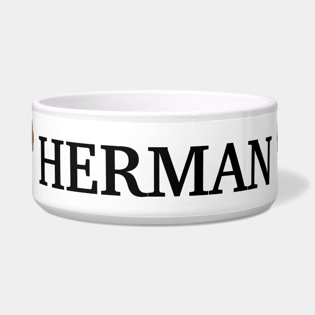 Aangepaste Cartoon Dachshund Voerbakje (Voorkant)