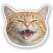 Aangepaste Cat Face Sticker – Gepersonaliseerde fo (Voorkant)
