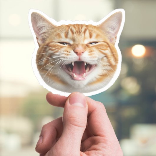 Aangepaste Cat Face Sticker – Gepersonaliseerde fo