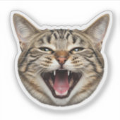 Aangepaste Cat Face Sticker – Grappige gepersonali (Voorkant)