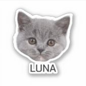 Aangepaste Cat Photo Face Sticker (Voorkant)