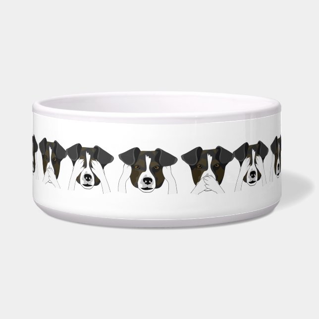 Aangepaste Ceramic Pet Dog Bowl Voerbakje (Voorkant)