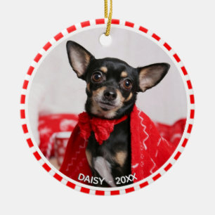 Aangepaste Chihuahua Dog-foto met rood en wit Lijs Keramisch Ornament