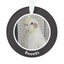 Aangepaste Cockatiel Foto Herdenking