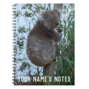 Aangepaste Cute Koala Animal Wildife Notitieboek