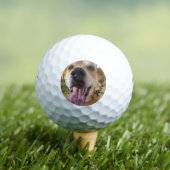 Aangepaste Dog Photo Cute Personated Golfballen (Insitu Shirt)