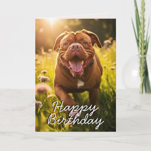 Aangepaste Dogue de Bordeaux Happy Birthday Kaart (Voorkant)