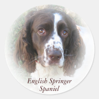 Aangepaste Engelse Springer Spaniel Dog Stickers