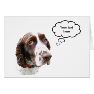 Aangepaste Engelse Springer-spaniel-kaart