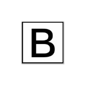 Aangepaste enkele letter 	rubberstempel (Afrduk)