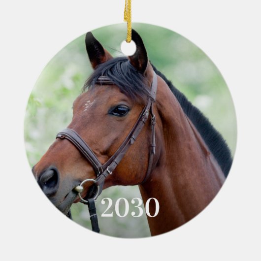 Aangepaste Equine Foto Paard Liefhebber Gepersonal Keramisch Ornament (Achterkant)