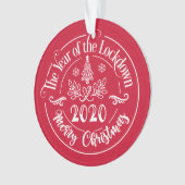 Aangepaste familienaam Funny 2020 kerstfeestdag Ornament (voorkant)