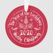 Aangepaste familienaam Funny 2020 kerstfeestdag Ornament (voorkant)