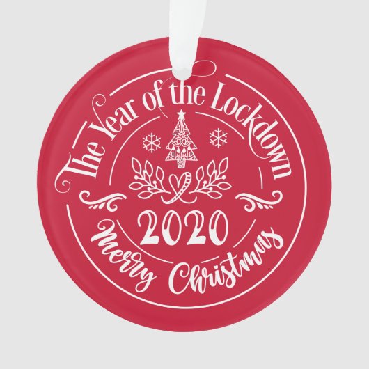 Aangepaste familienaam Funny 2020 kerstfeestdag Ornament (voorkant)