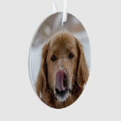 Aangepaste feestdag Ornament | Gezinshuis | Puppy (voorkant)